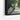 Rustic Countryside Lane in Summer Framed Canvas (Black) / 48 x 32