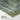 Whispering Woods: An Impressionist Journey Fine Art Print / 48 x 32