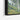Whispering Woods: An Impressionist Journey Framed Canvas (Black) / 48 x 32