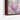 Enchanted Cottage in Blooming Forest Framed Canvas (Walnut) / 48 x 32