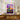 Sunset Blaze Amongst Cacti Fine Art Print / 32 x 48