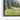 Sunlit Whispering Pines by the River Framed Canvas (Black) / 48 x 32
