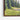 Sunlit Whispering Pines by the River Framed Canvas (Walnut) / 30 x 20