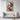 Colorful Cubist Vision of Humanity Framed Canvas (Walnut) / 32 x 48