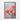 Blooming Cactus Elegance in Soft Light Framed Canvas (Black) / 32 x 48