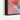 Blooming Cactus Elegance in Soft Light Framed Canvas (Black) / 32 x 48