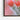 Blooming Cactus Elegance in Soft Light Framed Canvas (Black) / 32 x 48