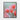 Blooming Cactus Elegance in Soft Light Framed Canvas (Black) / 16 x 20