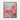 Blooming Cactus Elegance in Soft Light Framed Canvas (Walnut) / 16 x 20