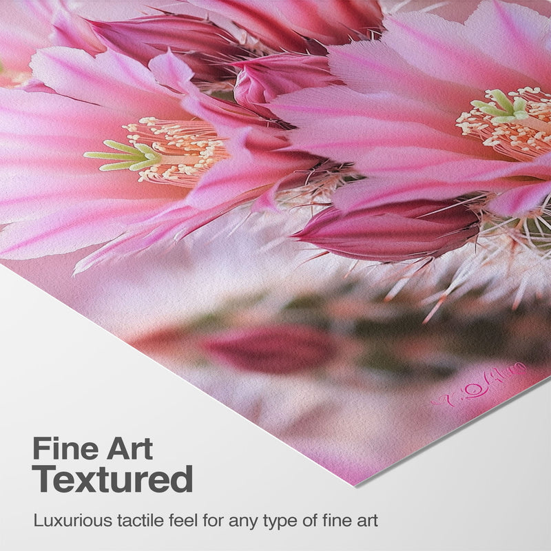 Luxurious Texture & Detail