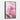 Blossoming Cactus Dreams at Dawn Framed Canvas (Black) / 20 x 30