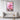 Blossoming Cactus Dreams at Dawn Framed Canvas (Black) / 20 x 30