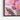 Blossoming Cactus Dreams at Dawn Framed Canvas (Black) / 16 x 20