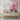 Blossoming Cactus Dreams at Dawn Canvas Wrap / 24 x 32