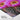 Vibrant Bloom in Desert Tranquility Fine Art Print / 32 x 48