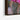 Vibrant Bloom in Desert Tranquility Framed Canvas (Black) / 32 x 48