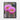Vibrant Bloom in Desert Tranquility Framed Canvas (Black) / 30 x 40