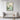 Serene Cacti Symphony in Soft Hues Framed Canvas (Walnut) / 18 x 24