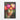 Luminous Blooms of Surreal Beauty Framed Canvas (Black) / 32 x 48