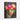 Luminous Blooms of Surreal Beauty Framed Canvas (Black) / 18 x 24