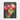 Luminous Blooms of Surreal Beauty Framed Canvas (Black) / 18 x 24
