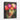 Luminous Blooms of Surreal Beauty Framed Canvas (Black) / 11 x 14