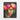 Luminous Blooms of Surreal Beauty Framed Canvas (Black) / 16 x 20