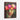 Luminous Blooms of Surreal Beauty Framed Canvas (Walnut) / 30 x 40