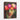 Luminous Blooms of Surreal Beauty Framed Canvas (Walnut) / 8 x 10