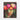 Luminous Blooms of Surreal Beauty Framed Canvas (Walnut) / 8 x 10