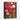 Vibrant Blossoms in Stylized Elegance Framed Canvas (Black) / 16 x 20