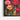 Vibrant Blossoms in Stylized Elegance Framed Canvas (Black) / 16 x 20