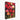 Vibrant Blossoms in Stylized Elegance Canvas Wrap / 24 x 32