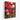 Vibrant Blossoms in Stylized Elegance Canvas Wrap / 16 x 20