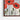 Radiant Red Poppies in Bloom Framed Canvas (Walnut) / 48 x 32
