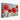 Radiant Red Poppies in Bloom Canvas Wrap / 30 x 20