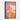 Blossoming Radiance in Abstract Hues Framed Canvas (Black) / 32 x 48