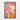 Blossoming Radiance in Abstract Hues Framed Canvas (Black) / 32 x 48