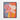 Blossoming Radiance in Abstract Hues Framed Canvas (Black) / 16 x 20