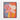 Blossoming Radiance in Abstract Hues Framed Canvas (Walnut) / 16 x 20