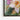 Luminous Blossoms Delicate Petal Dance Framed Canvas (Black) / 16 x 20