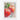 Fresh Dew on Crimson Apples Fine Art Print / 24 x 32