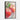 Fresh Dew on Crimson Apples Framed Canvas (Black) / 20 x 30