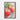 Fresh Dew on Crimson Apples Framed Canvas (Black) / 32 x 48