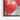 Fresh Dew on Crimson Apples Framed Canvas (Black) / 30 x 40