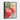 Fresh Dew on Crimson Apples Framed Canvas (Black) / 11 x 14