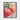 Fresh Dew on Crimson Apples Framed Canvas (Black) / 8 x 10