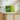 Vibrant Lemon Essence in Green Fine Art Print / 20 x 16