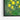 Vibrant Lemon Essence in Green Framed Canvas (Black) / 10 x 8