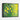 Vibrant Lemon Essence in Green Framed Canvas (Black) / 14 x 11